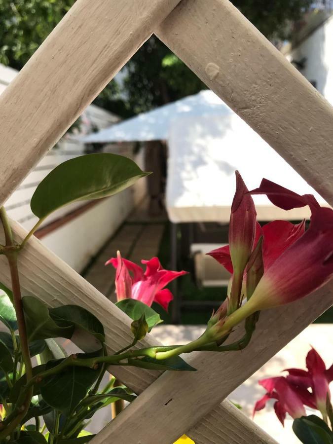 Virgilio'S Garden Bed & Breakfast Кастеламаре ди Стабия Екстериор снимка
